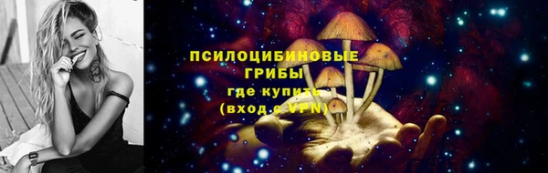 ПСИЛОЦИБИНОВЫЕ ГРИБЫ Алзамай
