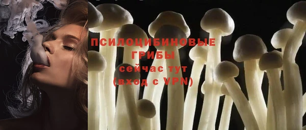 не бодяженный Алексин