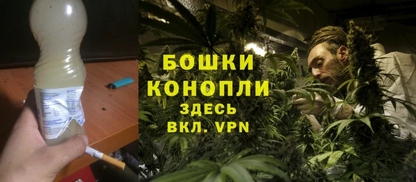 ПСИЛОЦИБИНОВЫЕ ГРИБЫ Алзамай