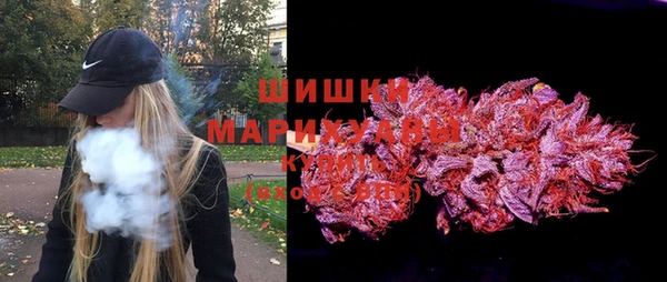 индика Пролетарск