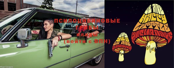 ПСИЛОЦИБИНОВЫЕ ГРИБЫ Алзамай