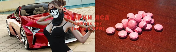 ПСИЛОЦИБИНОВЫЕ ГРИБЫ Алзамай