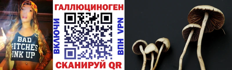 Галлюциногенные грибы мухоморы Новозыбков